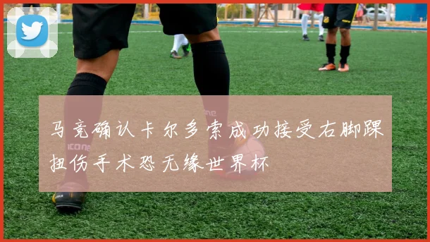 马竞确认卡尔多索成功接受右脚踝扭伤手术恐无缘世界杯